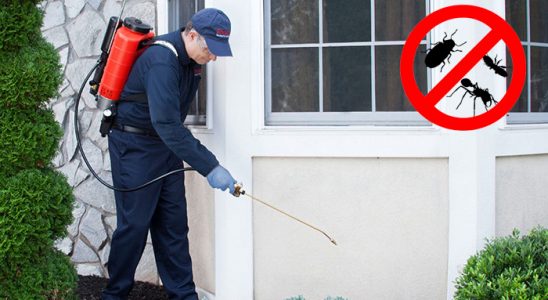 Batman Karınca İlaçlama böcek ilaçlama ve haşere kontrolü — ilaclama-tr.com